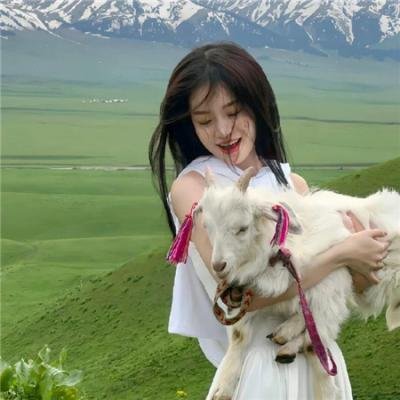 机器人艺妓