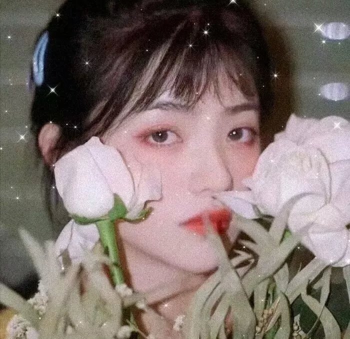 加拿大有个小波斯